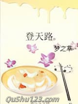 登天路小说