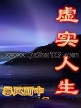 虚实人生小说