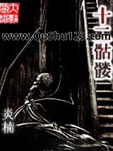 十二骷髅小说