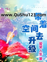 带着空间去升级小说