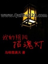 我的阴阳招魂灯小说