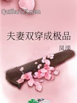 夫妻双穿成极品小说