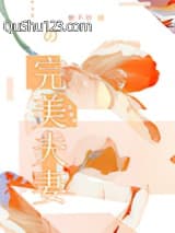 完美夫妻