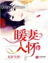 暖妻入怀（重生）