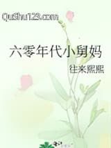 六零年代小舅妈小说