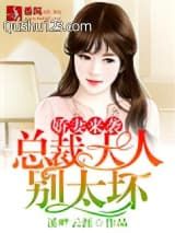 娇妻来袭，总裁大人别太坏