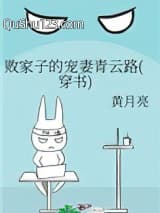 败家子的宠妻青云路（穿书）小说