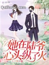 她在陆爷心头纵了火小说