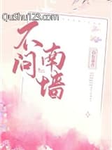 不问南墙小说