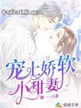 宠上娇软小甜妻