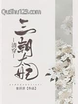 [清穿]三朝太妃小说