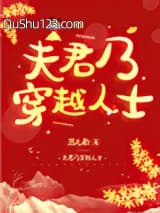 夫君乃穿越人士小说