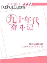 九十年代奋斗记