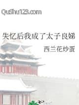 失忆后我成了太子良娣小说