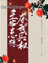 王爷总想夺我兵权小说