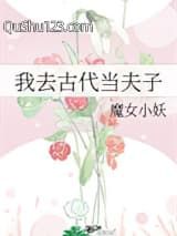 我去古代当夫子小说