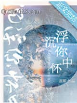 沉浮你怀中小说