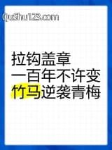 拉钩盖章一百年不许变小说