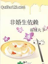 非婚生依赖小说