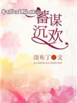 蓄谋沉欢小说