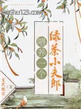 喂养一个绿茶小夫郎
