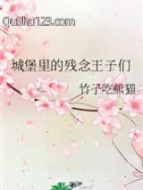 城堡里的残念王子们