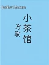 方家小茶馆小说