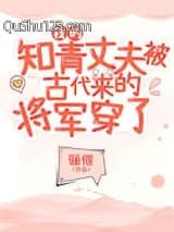 我的知青丈夫被古代来的将军穿了小说