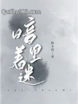 暗里着迷小说