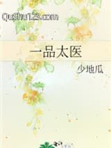 一品太医小说