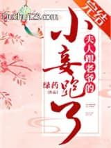 夫人跟老爷的小妾跑了