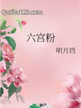 六宫粉小说