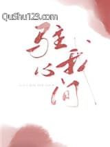 驻我心间小说