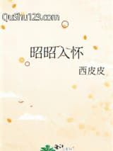 昭昭入怀小说