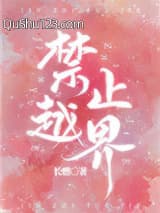 禁止越界小说