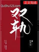 双轨