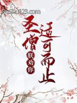 圣僧，朕劝你适可而止