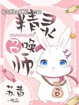 精灵召唤师小说