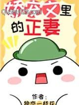 娇宠文里的正妻