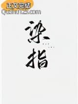 染指
