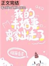 我的未婚妻离家出走了小说