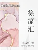 徐家汇小说