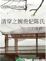 清穿之婉贵妃陈氏小说