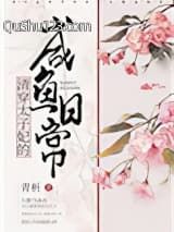 清穿太子妃的咸鱼日常