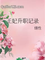 王妃升职记录小说