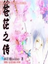 苍茫之传小说