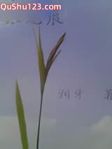 银无痕小说