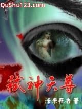弑神天尊小说