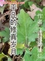 平凡的修真岁月