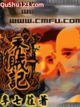 秃贼记小说